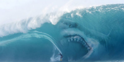Picture 10 Colossal Facts About Megalodon Sharks That Will Leave You Stunned!
