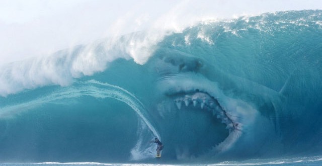 10 Incredible Facts About Megalodon