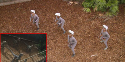 Picture 12 Interesting Facts About ‘Jurassic Park’ We Bet You Didn’t Know!