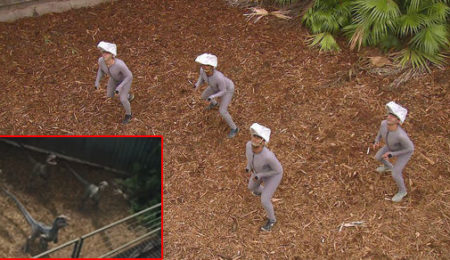Picture 12 Interesting Facts About ‘Jurassic Park’ We Bet You Didn’t Know!