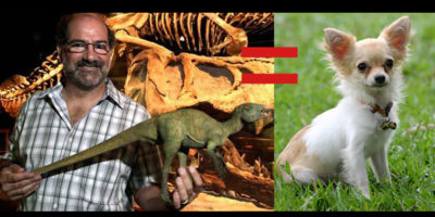 Picture 10 Facts About Dinosaurs That ‘Jurassic Park’ Didn’t Tell You.