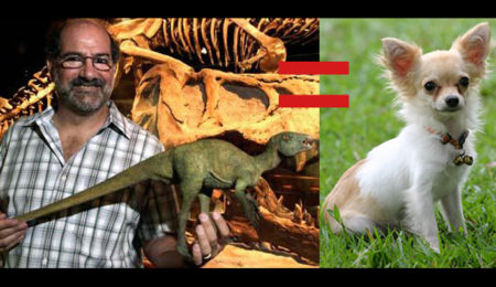 Picture 10 Facts About Dinosaurs That ‘Jurassic Park’ Didn’t Tell You.