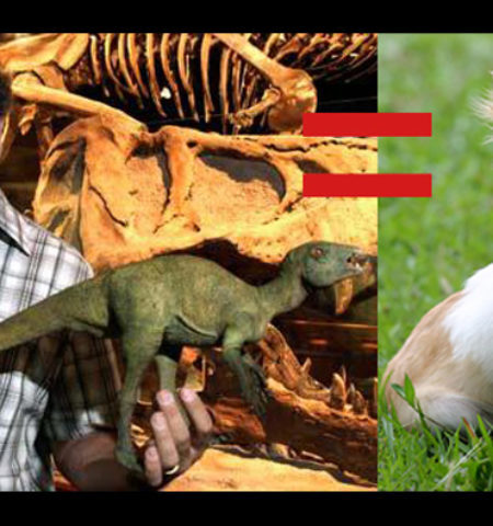 Picture 10 Facts About Dinosaurs That ‘Jurassic Park’ Didn’t Tell You.