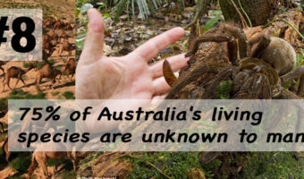 Picture 10 WTF Facts About Australia That Will Blow Your Mind