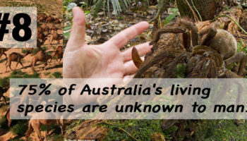 Picture 10 WTF Facts About Australia That Will Blow Your Mind