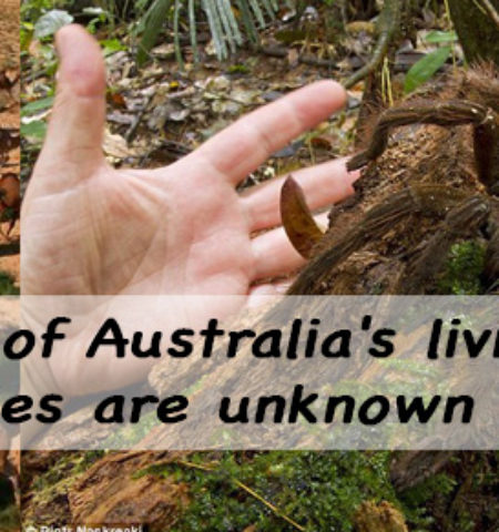 Picture 10 WTF Facts About Australia That Will Blow Your Mind