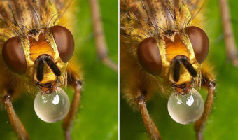 Picture Cross View Illusions Allow You To See An Image In 3D, Without The Glasses! It’s Magic; Go See For Yourself!