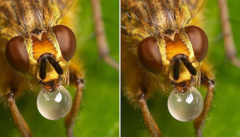 Picture Cross View Illusions Allow You To See An Image In 3D, Without The Glasses! It’s Magic; Go See For Yourself!