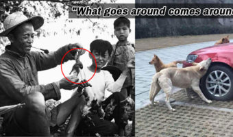 Picture 10 Incidents From The Past That Will Make You Believe In ‘Karma’