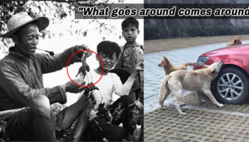 Picture 11 Incidents From The Past That Will Make You Believe In ‘Karma’