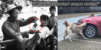 Picture 11 Incidents From The Past That Will Make You Believe In ‘Karma’