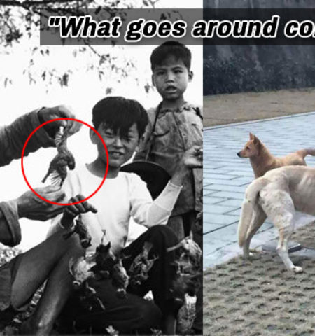 Picture 11 Incidents From The Past That Will Make You Believe In ‘Karma’