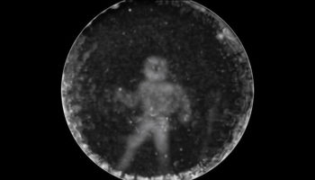 Picture Scientists have created an image that shows ‘how dolphins see people’ and it’s amazing