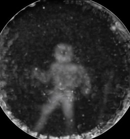 Picture Scientists have created an image that shows ‘how dolphins see people’ and it’s amazing