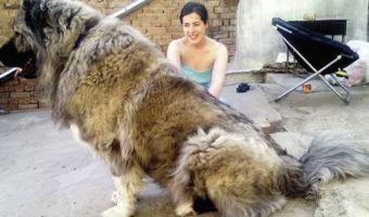 Picture 15 Extraordinary Facts About Russia That You Have To Read To Believe