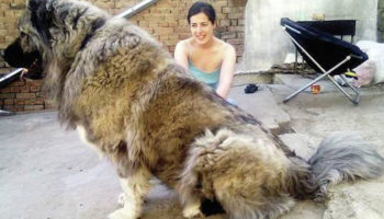 Picture 15 Extraordinary Facts About Russia That You Have To Read To Believe