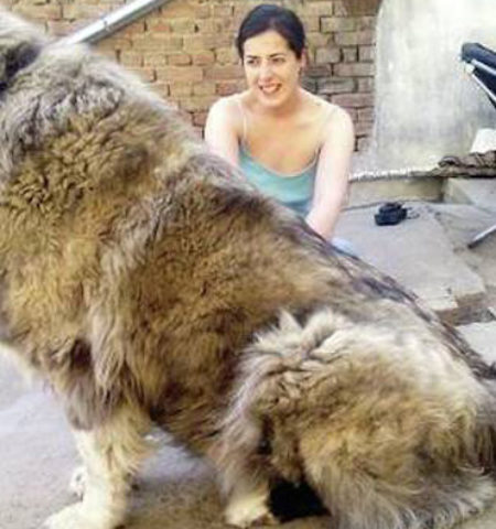 Picture 15 Extraordinary Facts About Russia That You Have To Read To Believe