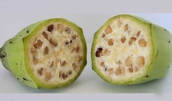 Picture These 6 Food Items Will Tell You How Domestication of Fruits and Vegetables Have Changed Our Foods Forever