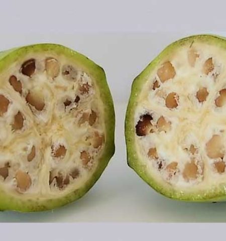 Picture These 6 Food Items Will Tell You How Domestication of Fruits and Vegetables Have Changed Our Foods Forever