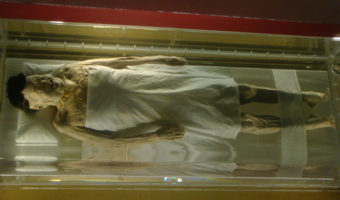 Picture 15 Shocking Facts About Ancient Mummies That Most People Don’t Know