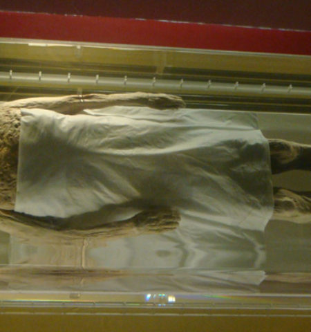 Picture 15 Shocking Facts About Ancient Mummies That Most People Don’t Know