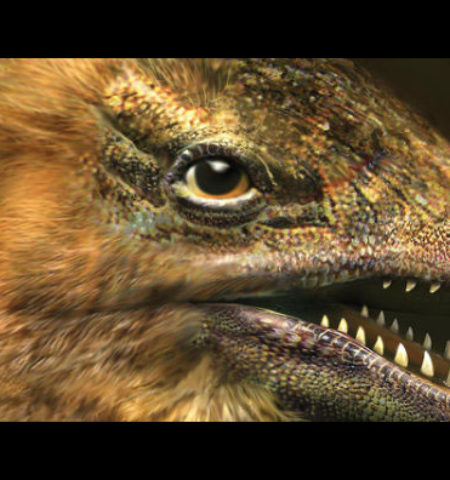 Picture Scientists suppressed genes for beak development in a chicken’s embryo and as a result, it developed a dinosaur-like snout