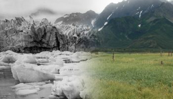 Picture Earth then and now: Spectacular transformation of Earth over the years caught by NASA