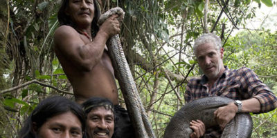Picture Gigantic 17 feet long anaconda captured alive by primitive tribe of Amazon, it’s probably the world’s longest Anaconda!