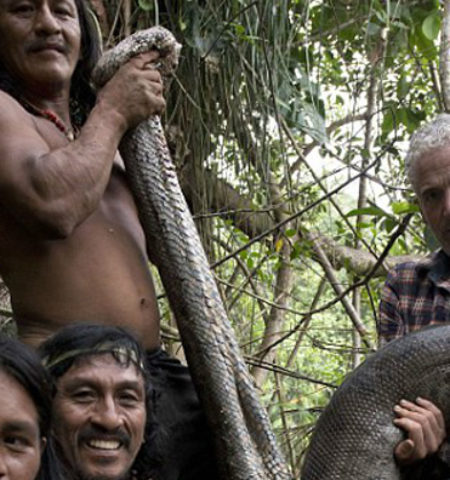 Picture Gigantic 17 feet long anaconda captured alive by primitive tribe of Amazon, it’s probably the world’s longest Anaconda!