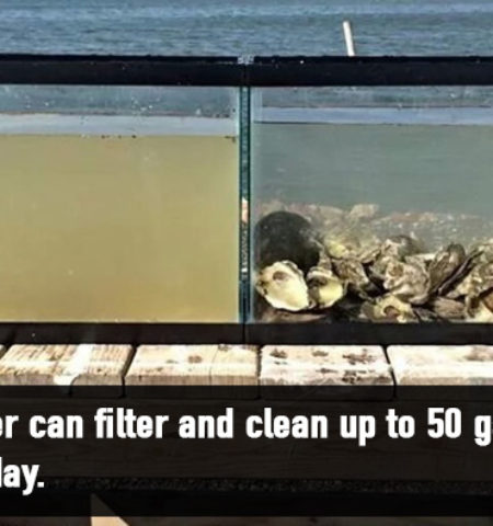 Picture 18 Unbelievable Animal Facts That Will Leave You Astonished