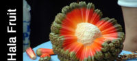 Picture 16 Exotic Fruits You Must Try At Least Once In Your Life