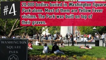 Picture 15 Little Known Facts About The City That Never Sleeps: New York City