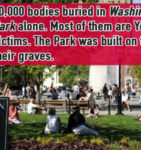 Picture 15 Little Known Facts About The City That Never Sleeps: New York City