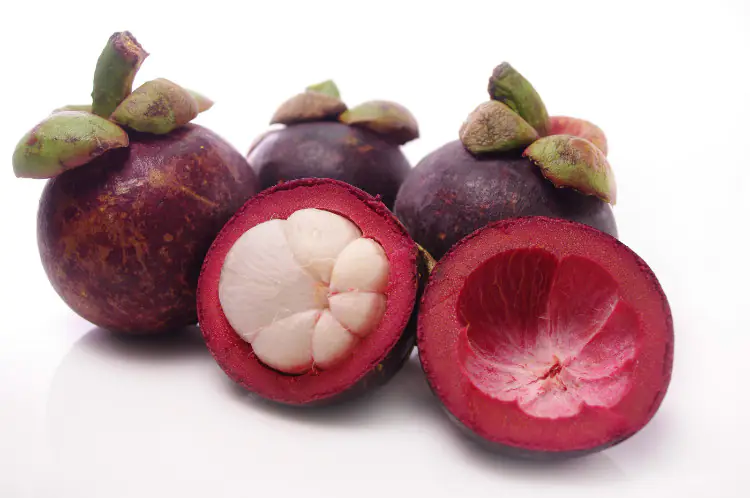 Mangosteen