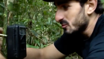 Picture An Unseen World: Explorers Capture Rare and Endangered Amazonian Wildlife On Camera Traps