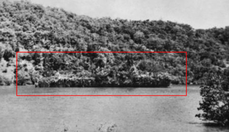 Picture During WW II, The Dutch Ship evaded the prowling Japanese bombers by disguising itself as an island