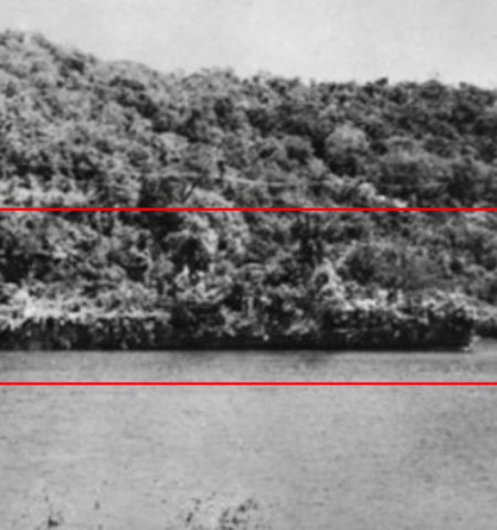 Picture During WW II, The Dutch Ship evaded the prowling Japanese bombers by disguising itself as an island