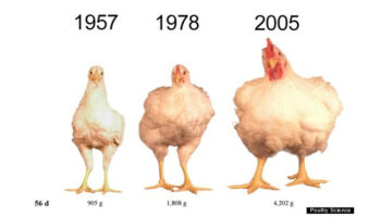 Picture 18 Surprising Facts about Food that will change the way you think about them