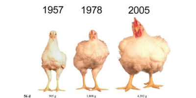 Picture 18 Surprising Facts about Food that will change the way you think about them