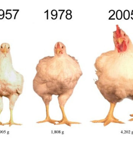 Picture 18 Surprising Facts about Food that will change the way you think about them