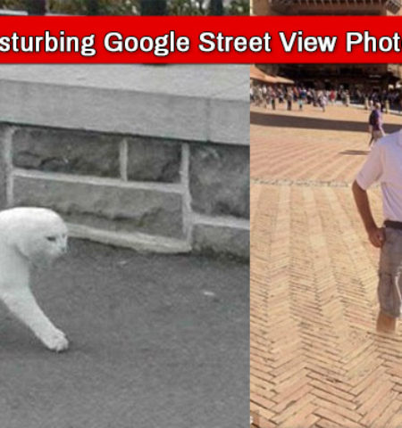 Picture Google Street View Throws Up Shocking & Bizarre Pictures of Humans Without Head Or Limbs, Animals With Two Legs!