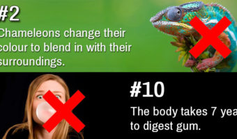 Picture 20 Popular Myths Debunked: “Facts” You’ve Always Believed That Simply Aren’t True!