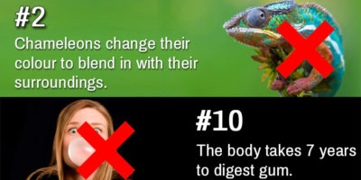Picture 20 Popular Myths Debunked: “Facts” You’ve Always Believed That Simply Aren’t True!