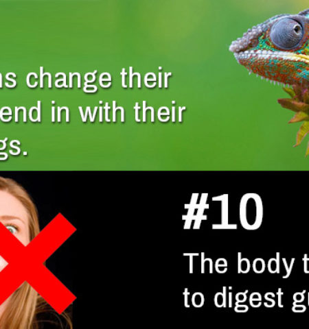 Picture 20 Popular Myths Debunked: “Facts” You’ve Always Believed That Simply Aren’t True!
