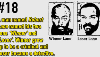 Picture 20 strange and unusual facts that will make you question their authenticity