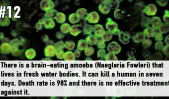 Picture 20 Strange and Unusual Facts That Sound Too Scary To Be True!