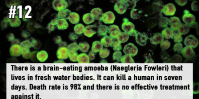 Picture 20 Strange and Unusual Facts That Sound Too Scary To Be True!