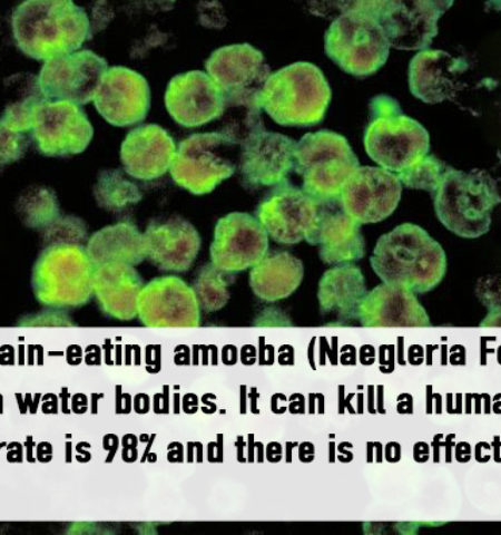 Picture 20 Strange and Unusual Facts That Sound Too Scary To Be True!