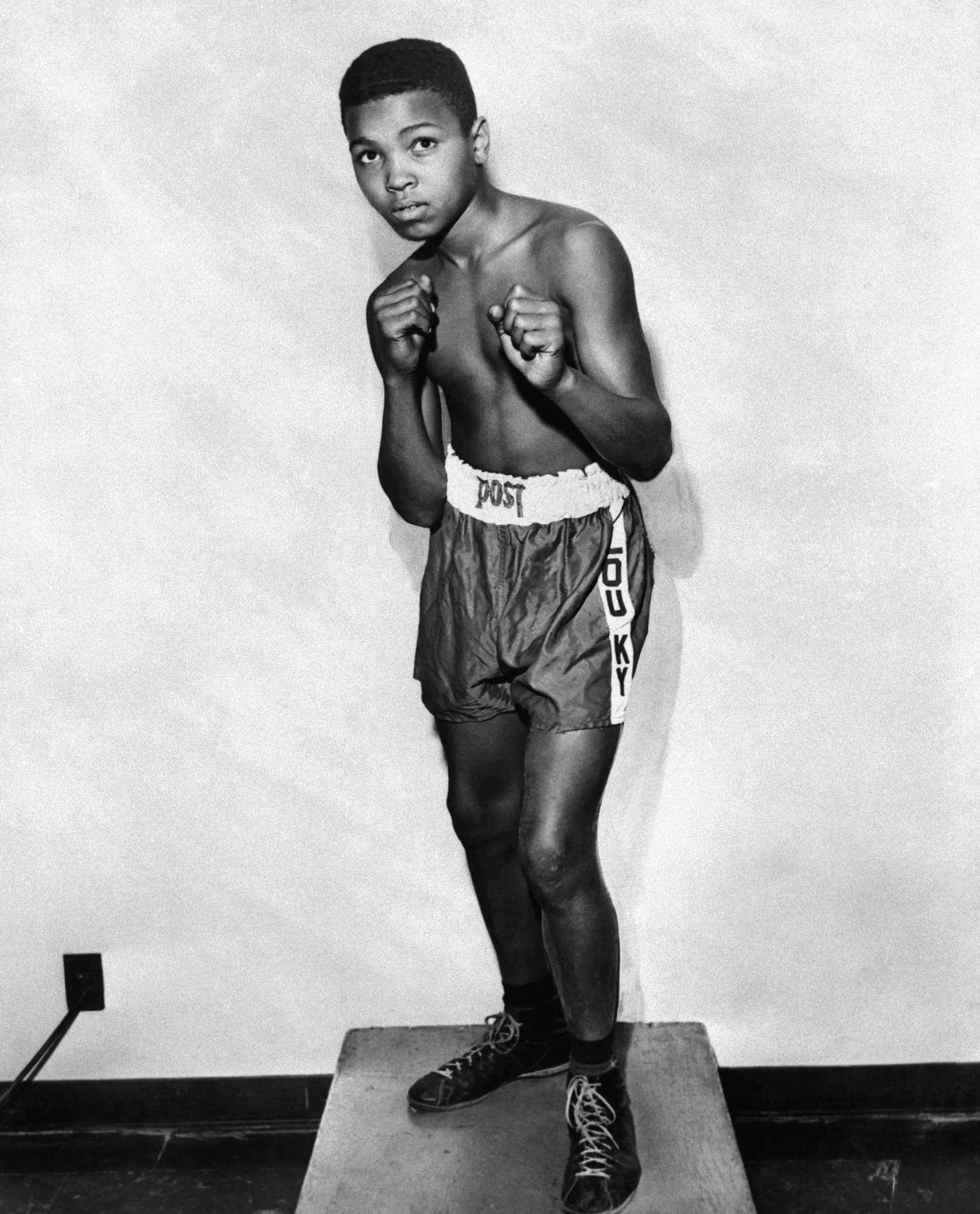 cassius clay