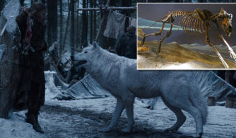 Picture 24 Interesting Facts about ‘Game of Thrones’ You Wouldn’t Want to Miss
